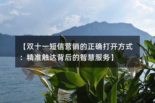 【双十一短信营销的正确打开方式:精准触达背后的智慧服务】