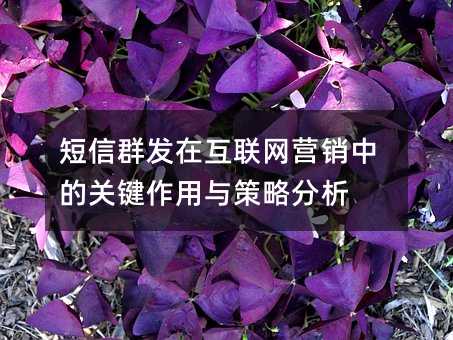 ����Ⱥ���ڻ�����Ӫ���еĹؼ���������Է���