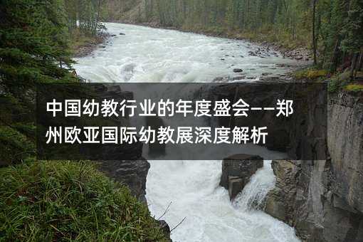 �й��׽���ҵ�����ʢ�ᡪ��֣��ŷ�ǹ����׽�չ��Ƚ���