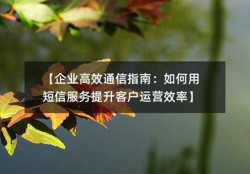 ����ҵ��Чͨ��ָ�ϣ�����ö��ŷ��������ͻ���ӪЧ�ʡ�