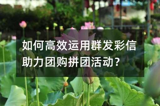 ��θ�Ч����Ⱥ�����������Ź�ƴ�Ż��