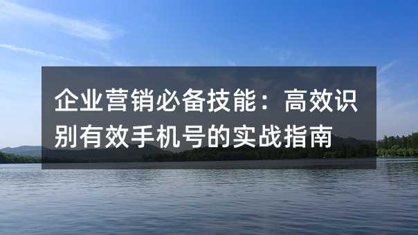 企业营销必备技能:高效识别有效手机号的实战指南