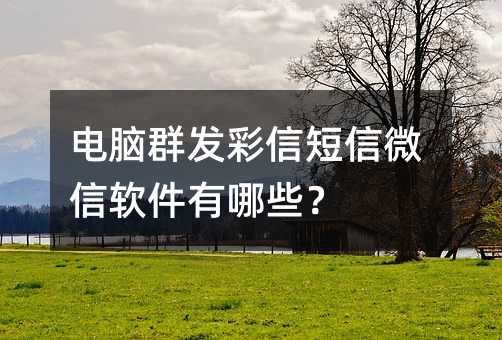 ����Ⱥ�����Ŷ���΢����������Щ��