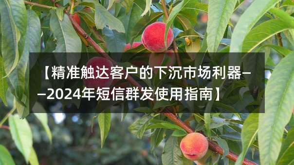 ����׼����ͻ����³��г���������2024�����Ⱥ��ʹ��ָ�ϡ�