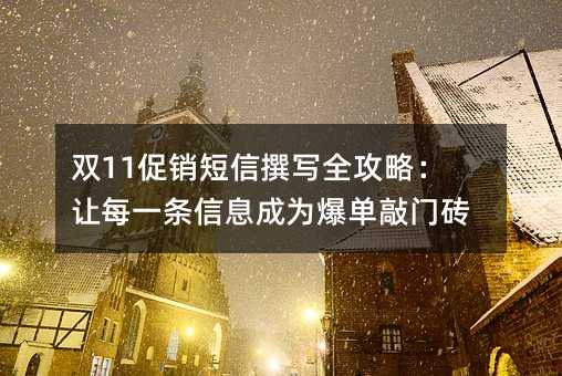 ˫11��������׫дȫ���ԣ���ÿһ����Ϣ��Ϊ��������ש