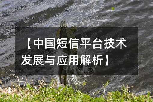 ���й�����ƽ̨������չ��Ӧ�ý�����