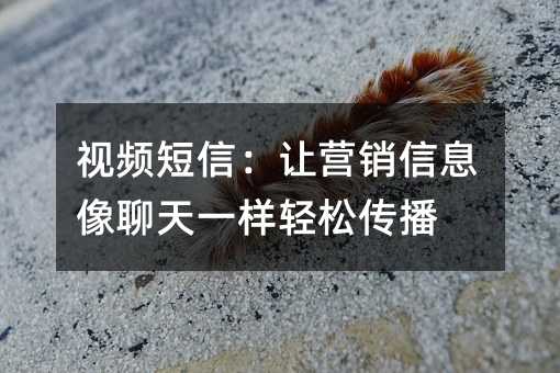 视频短信:让营销信息像聊天一样轻松传播
