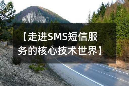 ���߽�SMS���ŷ���ĺ��ļ������硿