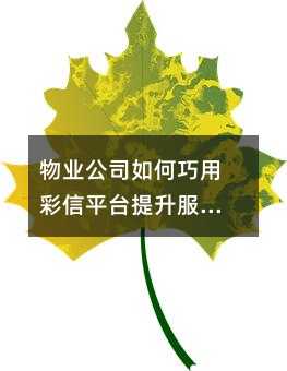 ��ҵ��˾������ò���ƽ̨��������Ʒ��