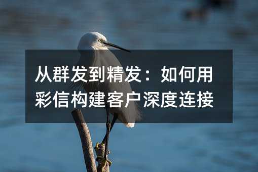 从群发到精发:如何用彩信构建客户深度连接