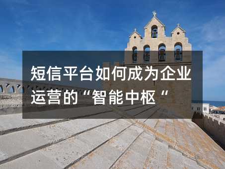 ����ƽ̨��γ�Ϊ��ҵ��Ӫ�ġ��������ࡰ