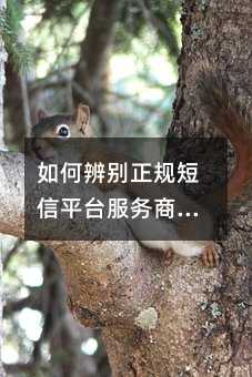 ��α���������ƽ̨�����̣�����ƪ�͹��ˣ�