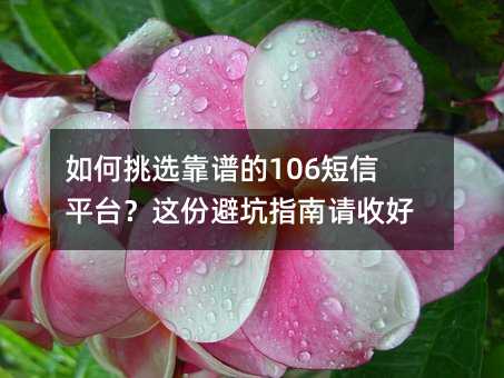 如何挑选靠谱的106短信平台?这份避坑指南请收好