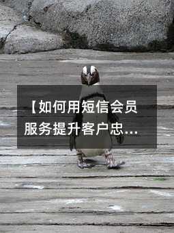 【如何用短信会员服务提升客户忠诚度:实战经验全解析】