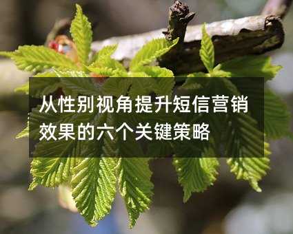 ���Ա��ӽ���������Ӫ��Ч���������ؼ�����