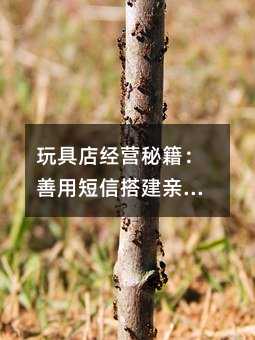 ��ߵ꾭Ӫ�ؼ������ö��Ŵ�����������