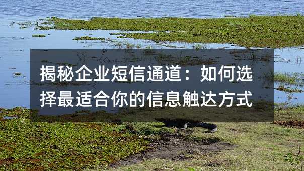 ������ҵ����ͨ�������ѡ�����ʺ������Ϣ���﷽ʽ