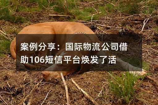 案例分享:国际物流公司借助106短信平台焕发了活力