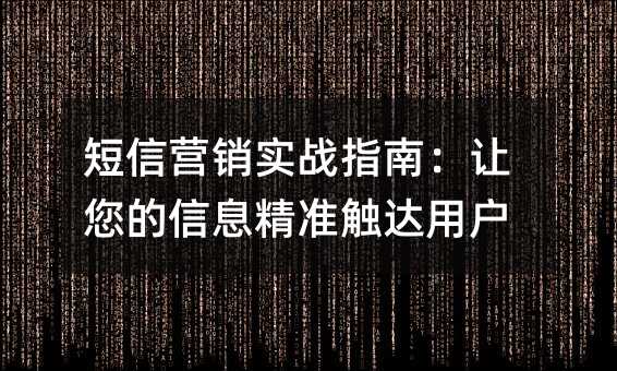 短信营销实战指南:让您的信息精准触达用户