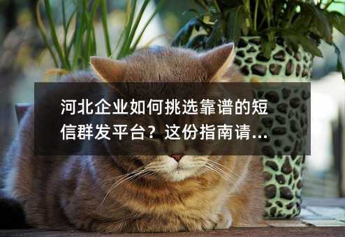 �ӱ���ҵ�����ѡ���׵Ķ���Ⱥ��ƽ̨�����ָ�����պ�