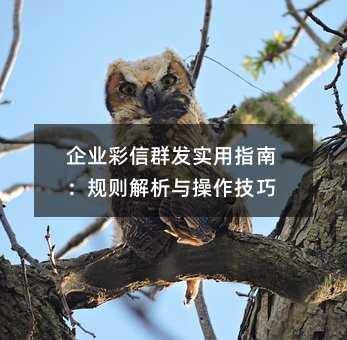 ��ҵ����Ⱥ��ʵ��ָ�ϣ�����������������