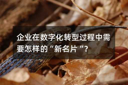 ��ҵ�����ֻ�ת�͹�������Ҫ�����ġ�����Ƭ����