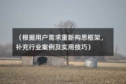 (根据用户需求重新构思框架,补充行业案例及实用技巧)