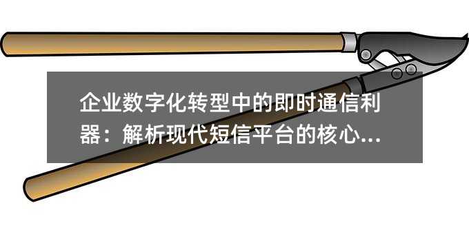 ��ҵ���ֻ�ת���еļ�ʱͨ�������������ִ�����ƽ̨�ĺ��ļ�ֵ