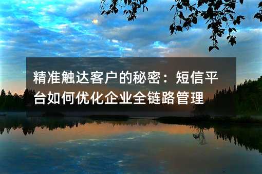 ��׼����ͻ������ܣ�����ƽ̨����Ż���ҵȫ��·����