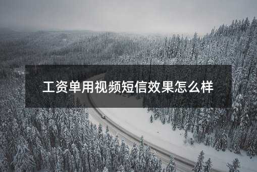 ���ʵ�����Ƶ����Ч����ô��