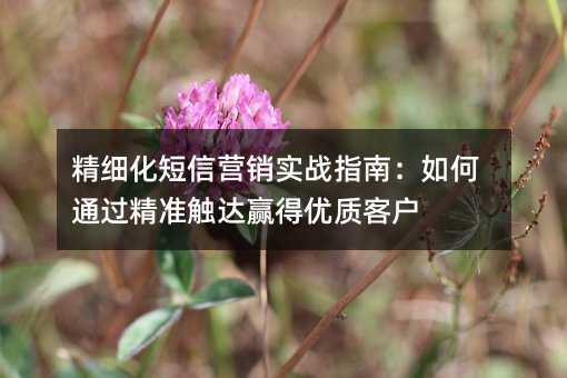 ��ϸ������Ӫ��ʵսָ�ϣ����ͨ����׼����Ӯ�����ʿͻ�