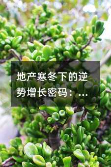 �ز������µ������������룺���ܻ��ͻ�����ʵս�ֲ�