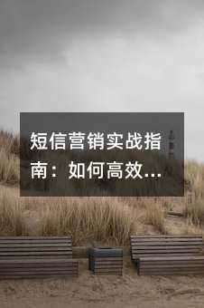 ����Ӫ��ʵսָ�ϣ���θ�Ч�����û�������ת����