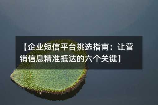 ����ҵ����ƽ̨��ѡָ�ϣ���Ӫ����Ϣ��׼�ִ�������ؼ���