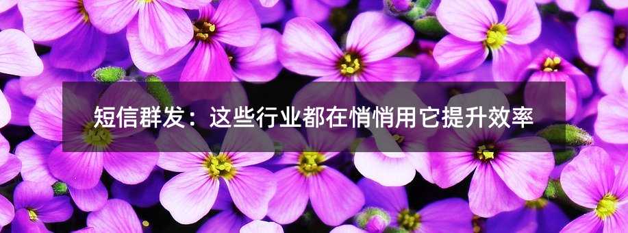 ����Ⱥ������Щ��ҵ����������������Ч��