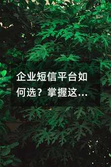 ��ҵ����ƽ̨���ѡ��������Щ�����뼼�����ɱܿ�