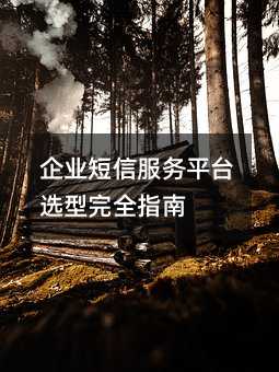 ��ҵ���ŷ���ƽ̨ѡ����ȫָ��