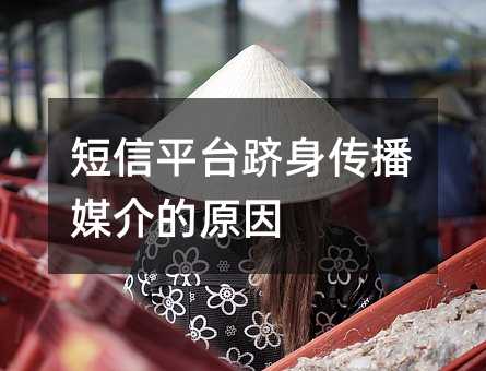 ����ƽ̨��������ý���ԭ��