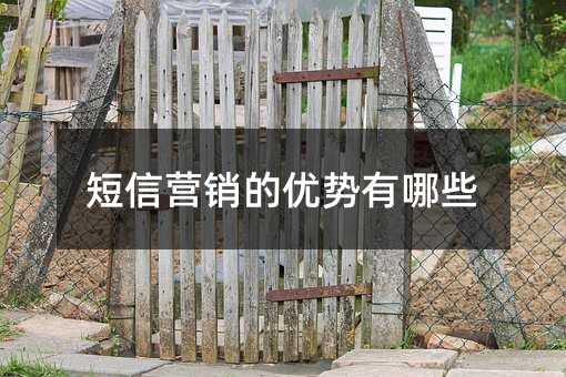 ����Ӫ������������Щ