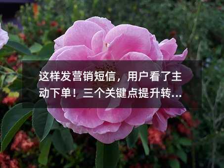 这样发营销短信,用户看了主动下单!三个关键点提升转化率