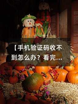 ���ֻ���֤���ղ�����ô�죿������ƪ�ܽ����90%�����ʡ�