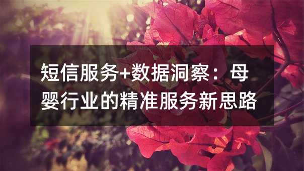 短信服务+数据洞察:母婴行业的精准服务新思路