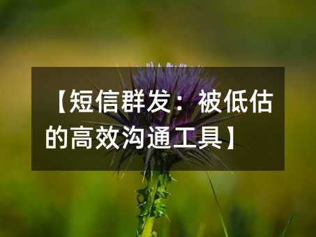 ������Ⱥ�������͹��ĸ�Ч��ͨ���ߡ�