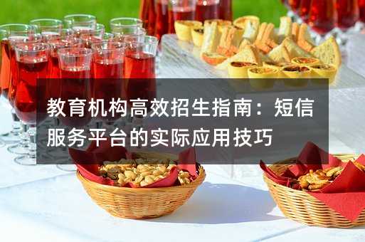 ����������Ч����ָ�ϣ����ŷ���ƽ̨��ʵ��Ӧ�ü���