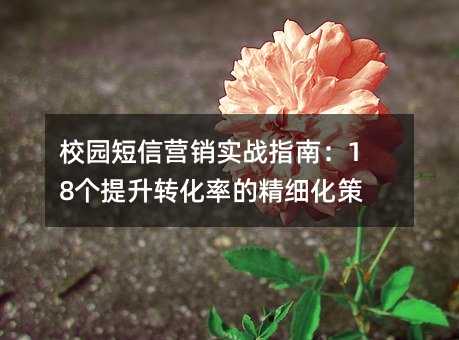 У԰����Ӫ��ʵսָ�ϣ�18������ת���ʵľ�ϸ������