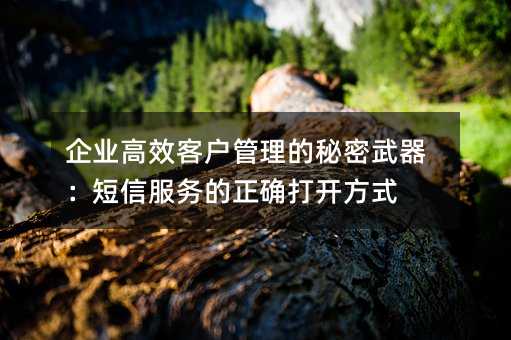 ��ҵ��Ч�ͻ��������������������ŷ������ȷ�򿪷�ʽ