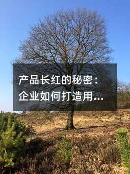 ��Ʒ��������ܣ���ҵ��δ����û���Ҫ�ĺò�Ʒ