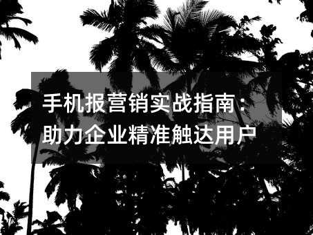 �ֻ���Ӫ��ʵսָ�ϣ�������ҵ��׼�����û�