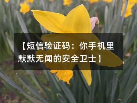 ��������֤�룺���ֻ���ĬĬ���ŵİ�ȫ��ʿ��