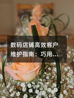 数码店铺高效客户维护指南:巧用短信激活消费活力
